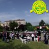 FestaPrimavera2015 
